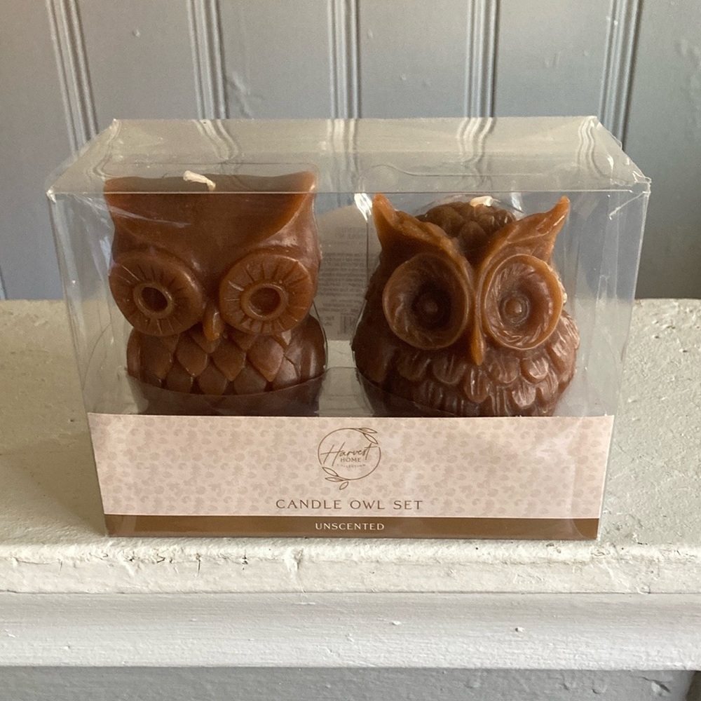 BNIB- 4.7"- Hand Carved- Unscented- 2 Pack- Brown Owl Figural Candles Decor Set